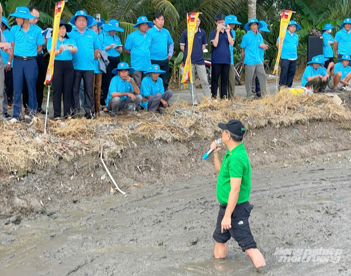 Chuyên gia trực tiếp xuống ruộng hướng dẫn, trao đổi với nông dân về quy trình bón phân đúng, quản lý dinh dưỡng và tưới ngập – khô xen kẽ (AWD). Ảnh: Lê Hoàng Vũ.