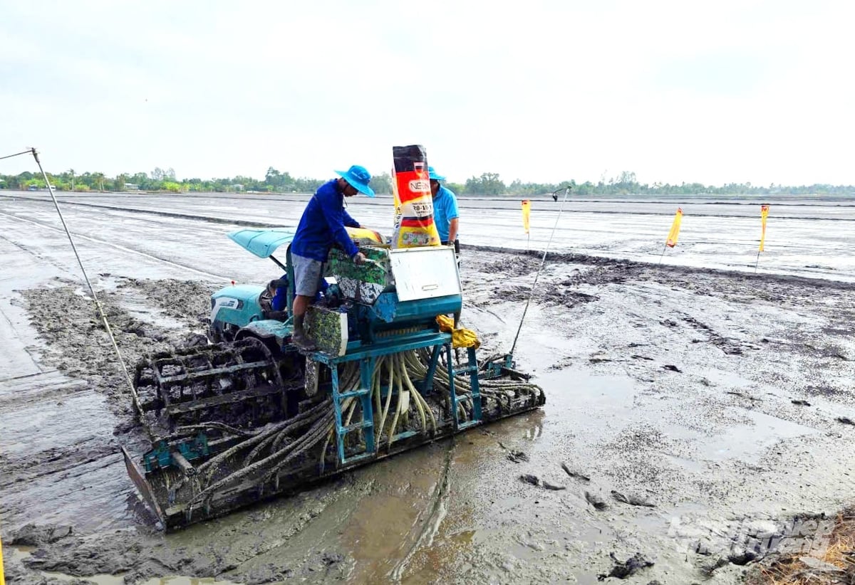 Nông dân và kỹ thuật viên vận hành máy sạ hàng kết hợp vùi phân trong mô hình. Ảnh: Lê Hoàng Vũ.