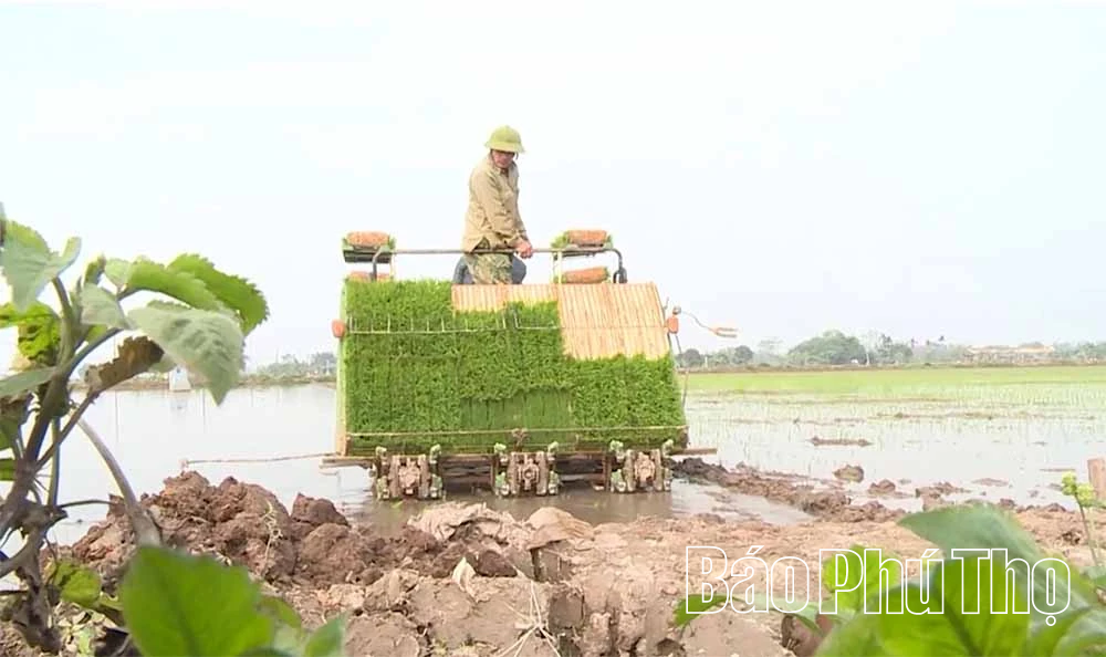 Meccanizzazione nella produzione agricola