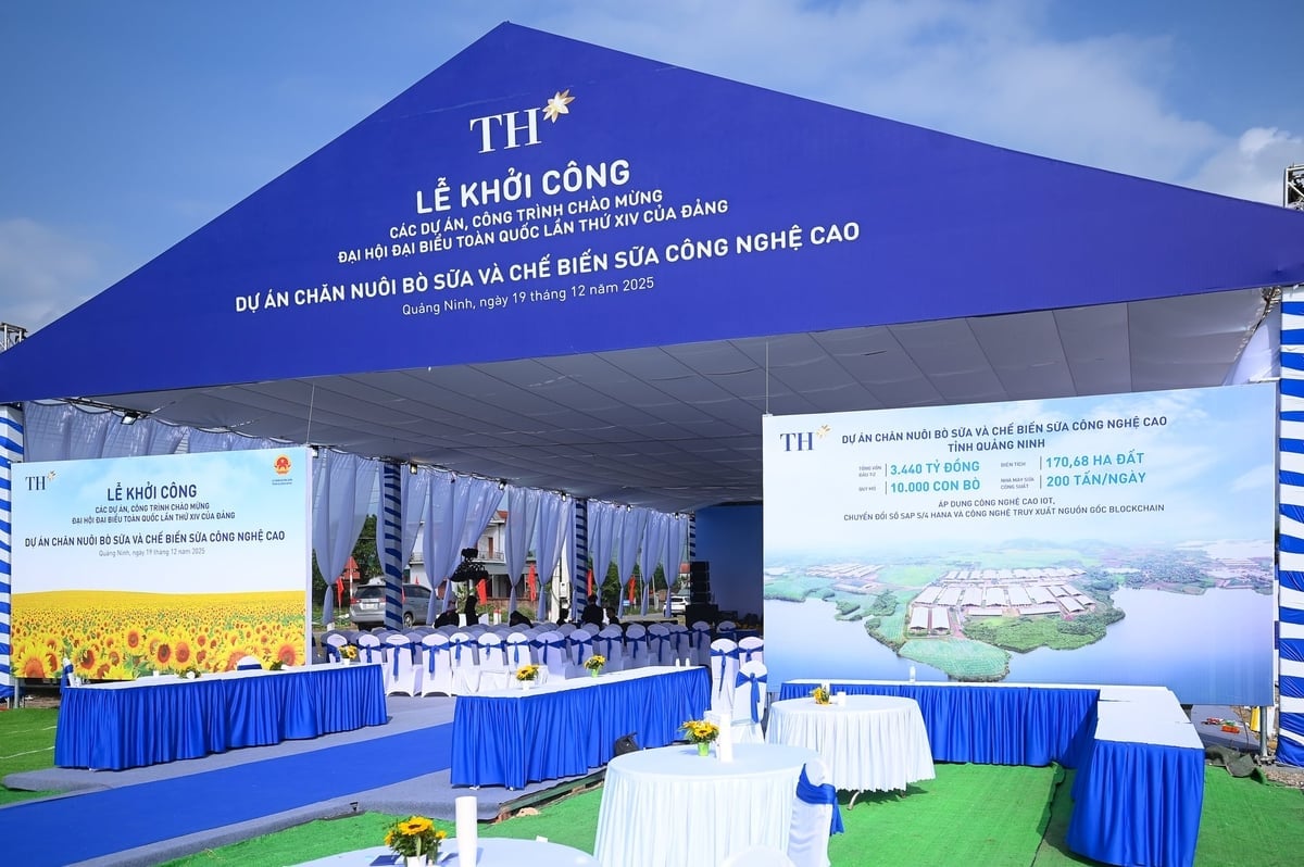 ទីកន្លែងសម្រាប់ពិធីបើកការដ្ឋានសាងសង់គម្រោងកសិដ្ឋានចិញ្ចឹមគោ និងកែច្នៃទឹកដោះគោបច្ចេកវិទ្យាខ្ពស់របស់ក្រុមហ៊ុន TH Group នៅខេត្តក្វាងនិញ។ រូបថត៖ TH។