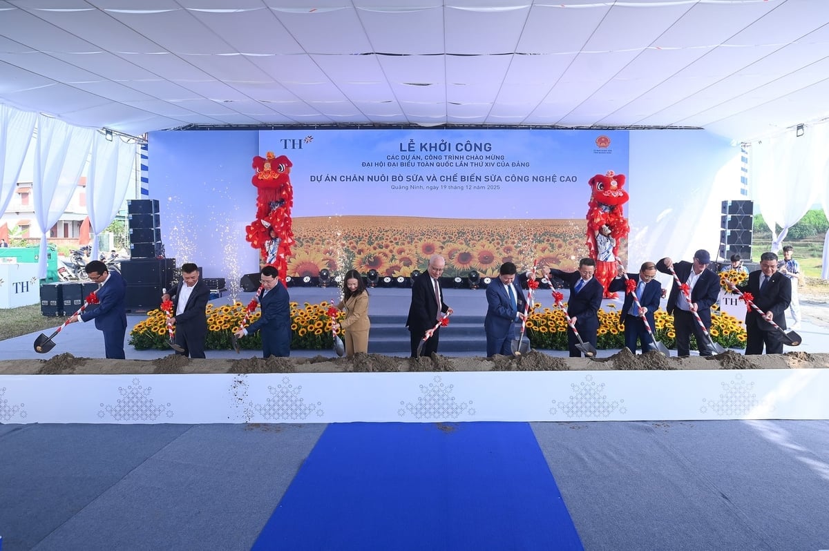 Các đại biểu thực hiện nghi thức khởi công dự án. Ảnh: Tùng Đinh.
