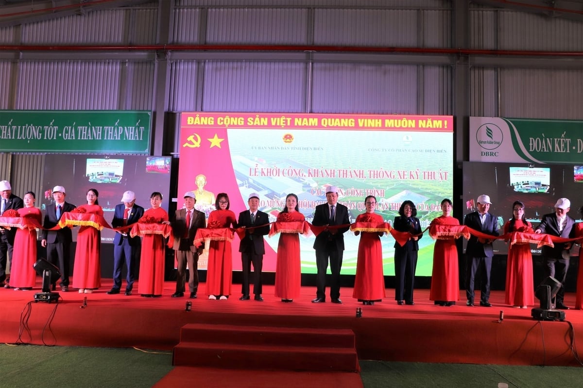 Representanter klippte bandet för att inviga Dien Biens gummibearbetningsanläggning. Foto: Hoang Chau. Đại biểu cắt băng khánh thành nhà máy chế biến mủ cao su Điện Biên. Ảnh: Hoàng Châu.