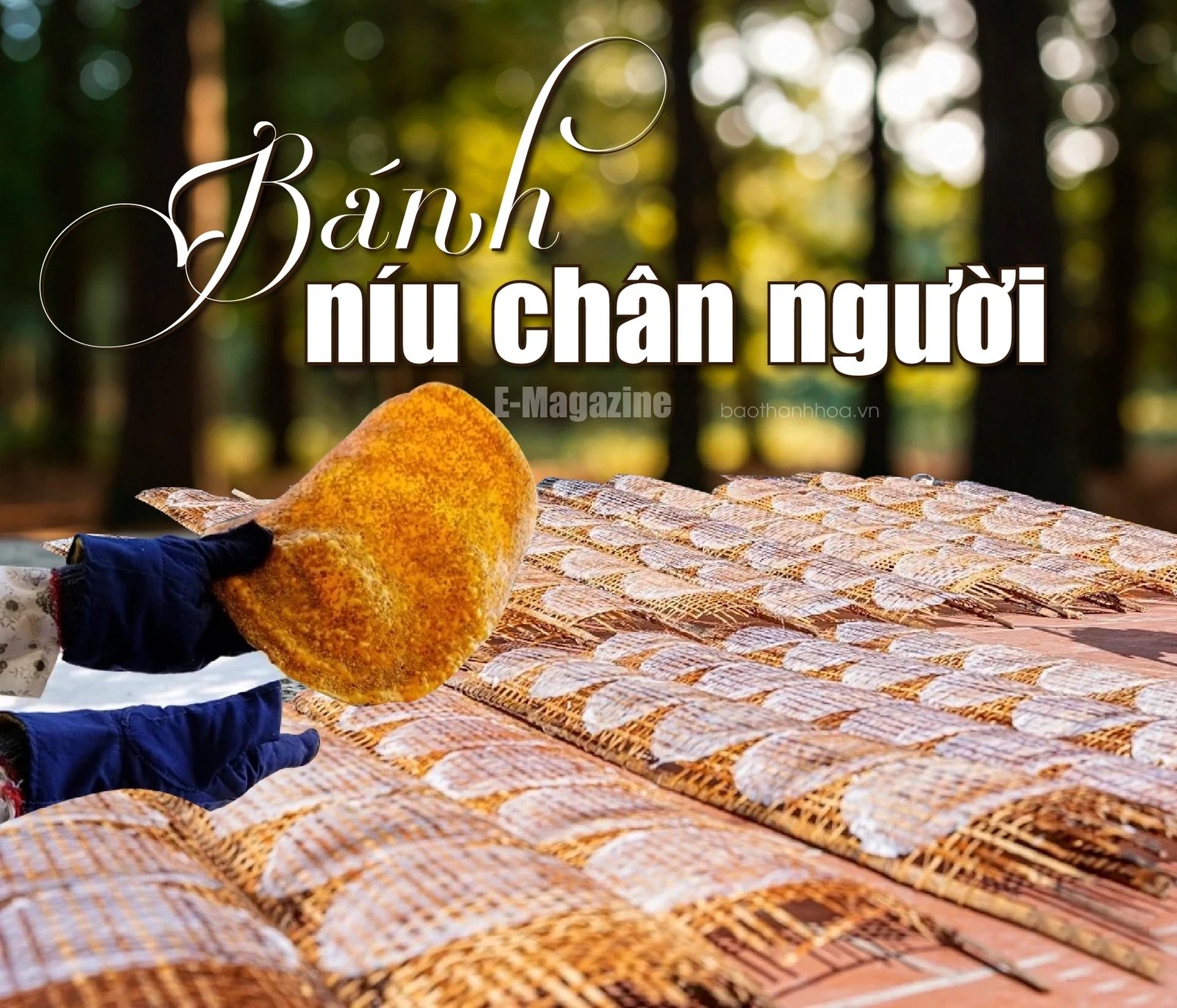 [ទស្សនាវដ្តីអេឡិចត្រូនិក]៖ នំខេកដែលធ្វើឱ្យមនុស្សចង់ត្រលប់មកវិញ