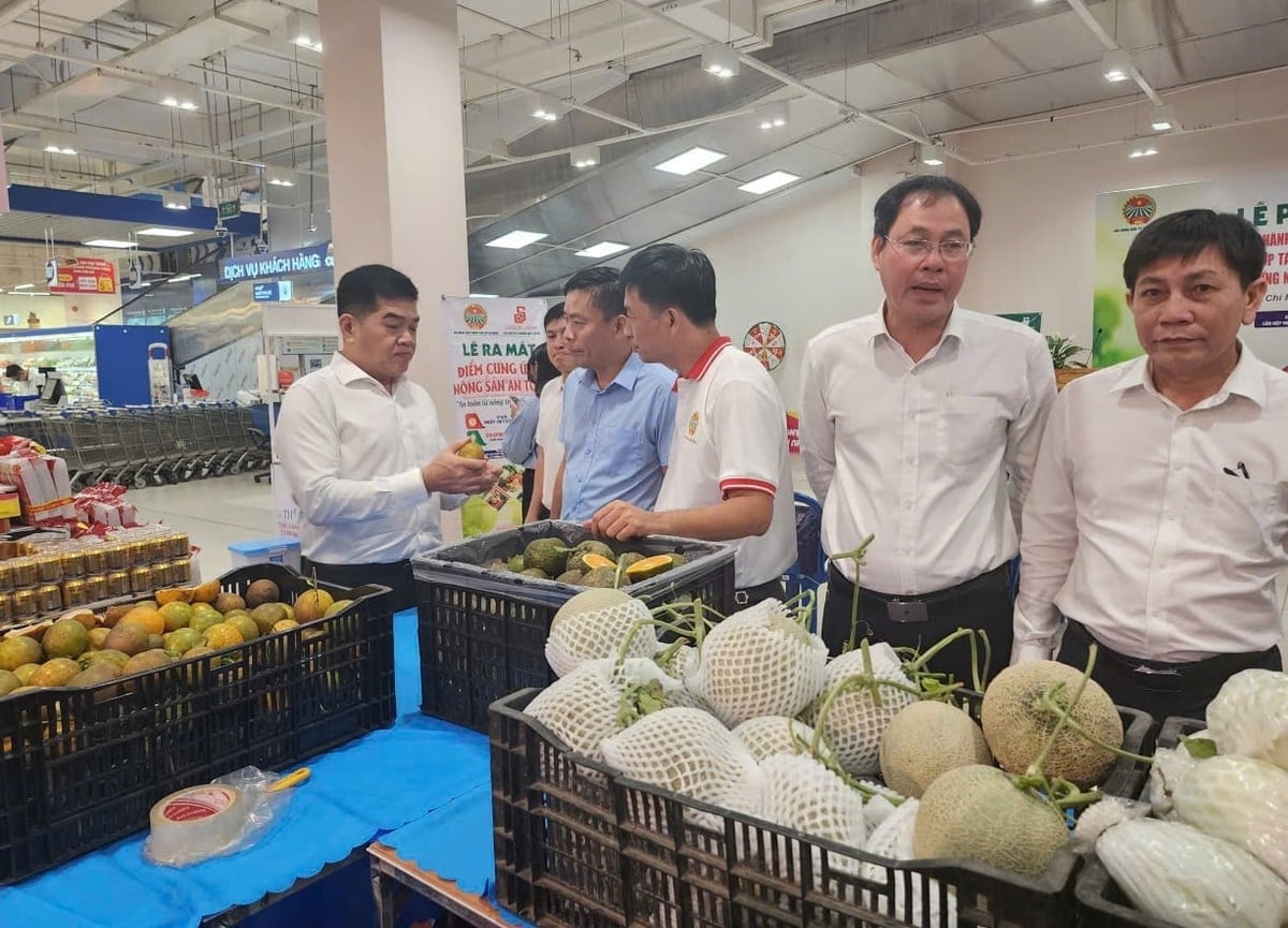 Đại biểu tham quan và tìm hiểu về nông sản sạch. Ảnh: Thục Vy.