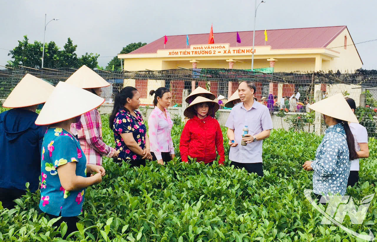 តំណាងសមាគមទឹកស្អាត និងបរិស្ថានខេត្តថៃង្វៀន កំពុងផ្សព្វផ្សាយ និងលើកទឹកចិត្តប្រជាជនឱ្យប្រើប្រាស់ទឹកស្អាត និងមានអនាម័យ ព្រមទាំងចូលរួមក្នុងការការពារបរិស្ថាន។