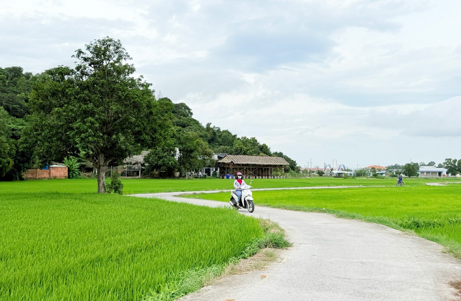 ទេសចរណ៍អានយ៉ាងកំពុងមមាញឹកក្នុងរដូវបុណ្យតេត និងបុណ្យនិទាឃរដូវឆ្នាំ ២០២៦។