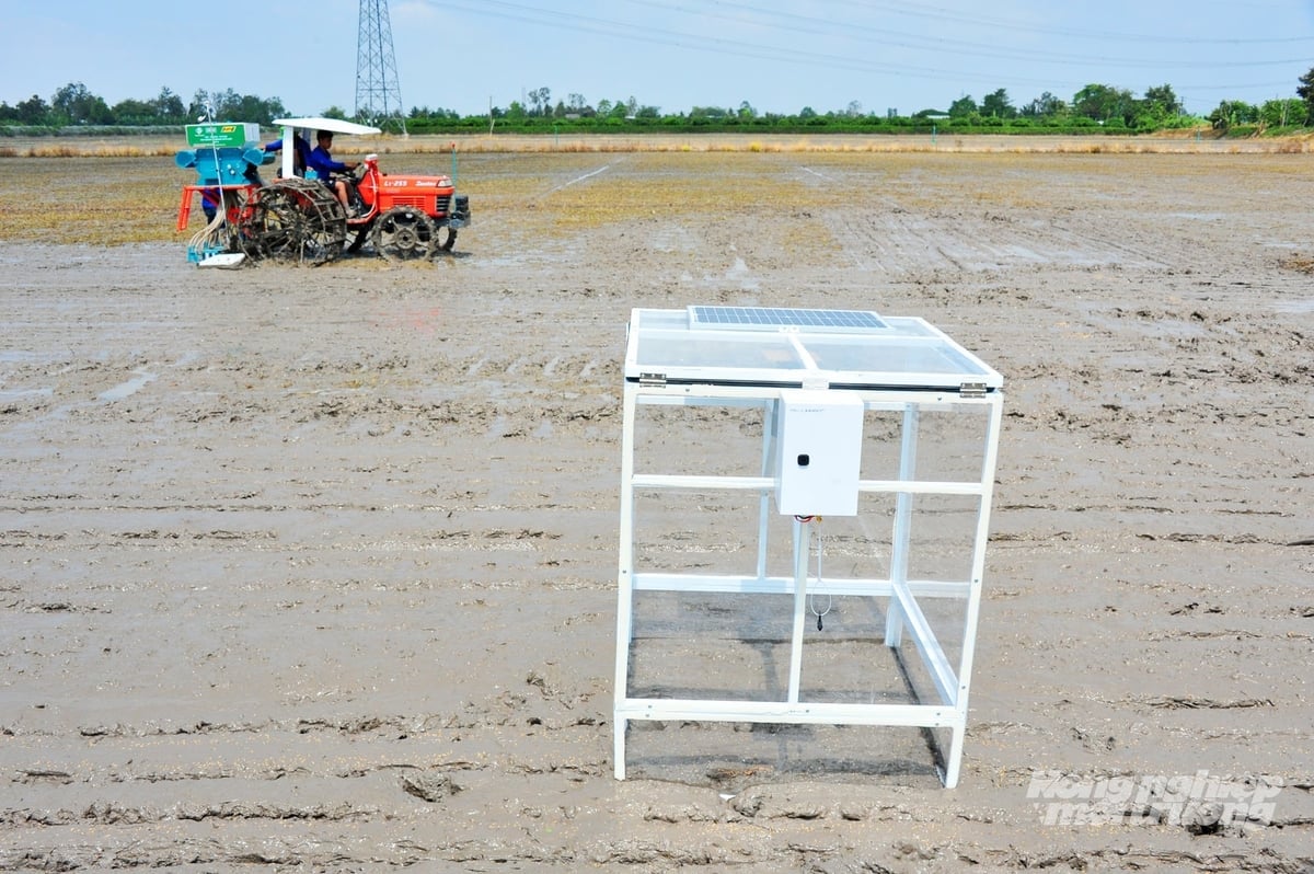Thiết bị quan trắc, thu thập dữ liệu môi trường được lắp đặt trên đồng ruộng phục vụ phân tích, dự báo thời tiết, sâu bệnh, góp phần nâng cao hiệu quả quản lý sản xuất nông nghiệp thông minh. Ảnh: Lê Hoàng Vũ.