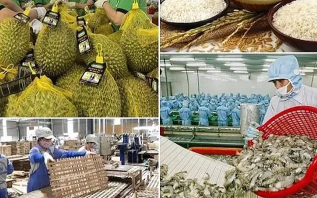 Xuất khẩu nông, lâm, thủy sản lập kỷ lục mới