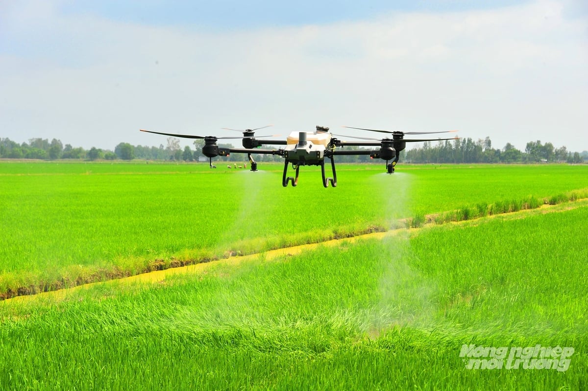 Thiết bị bay không người lái (drone) được ứng dụng phun thuốc và bón phân trên đồng ruộng, giúp giảm lao động thủ công, kiểm soát lượng vật tư và hạn chế phát thải trong sản xuất lúa. Ảnh: Lê Hoàng Vũ.