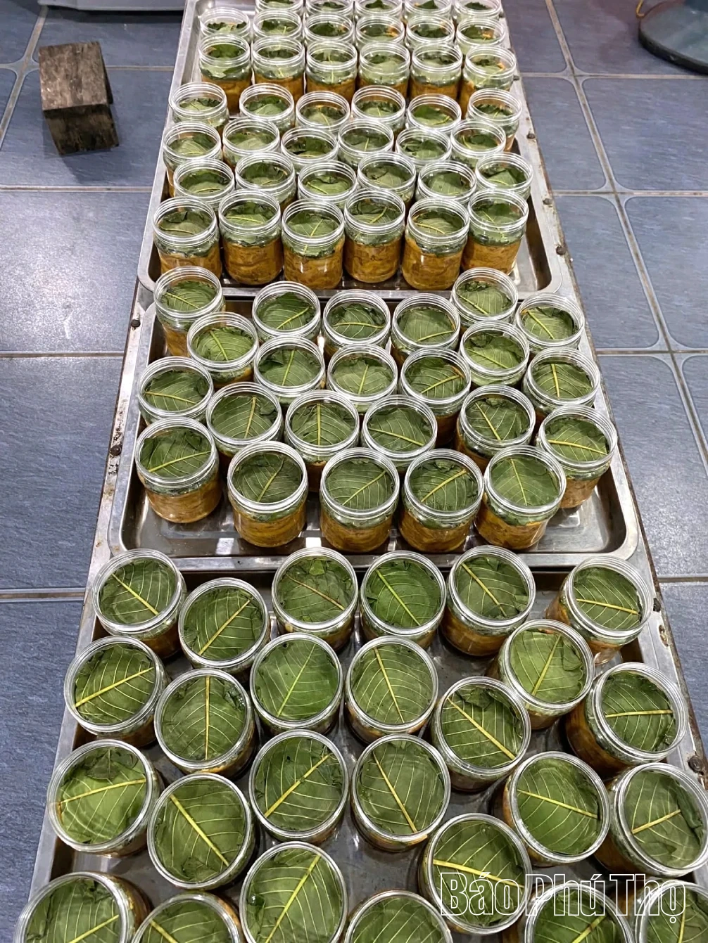 Zuur varkensvlees met papaja - een smaak afkomstig van de Muong-etnische groep uit Tan Son.