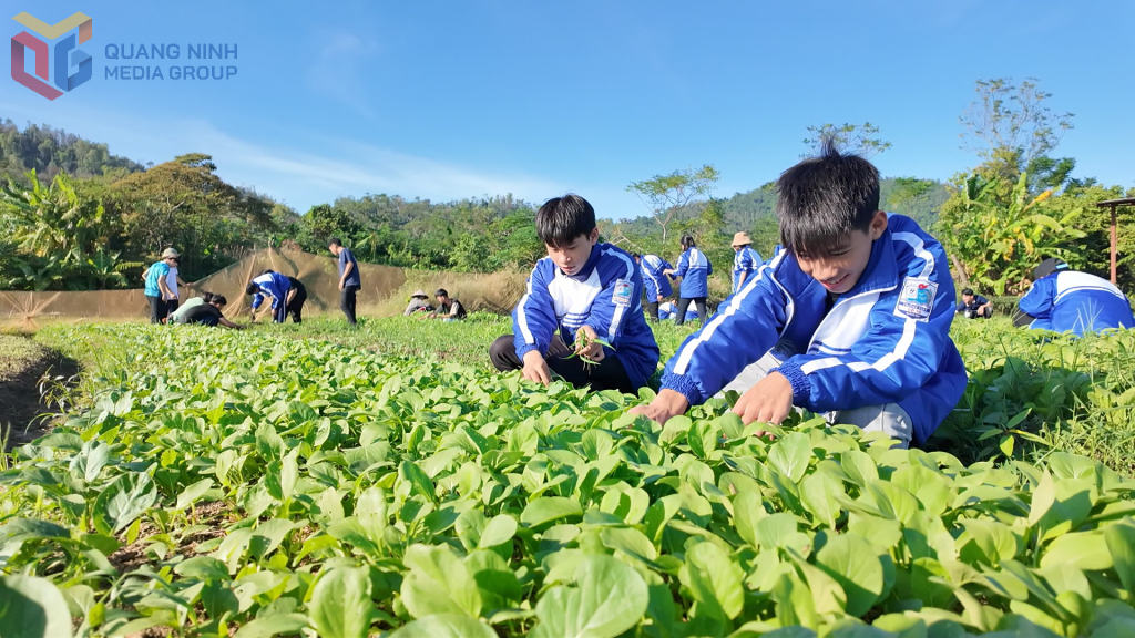 xay-dung-dac-khu-co-to-xanh-3.jpg