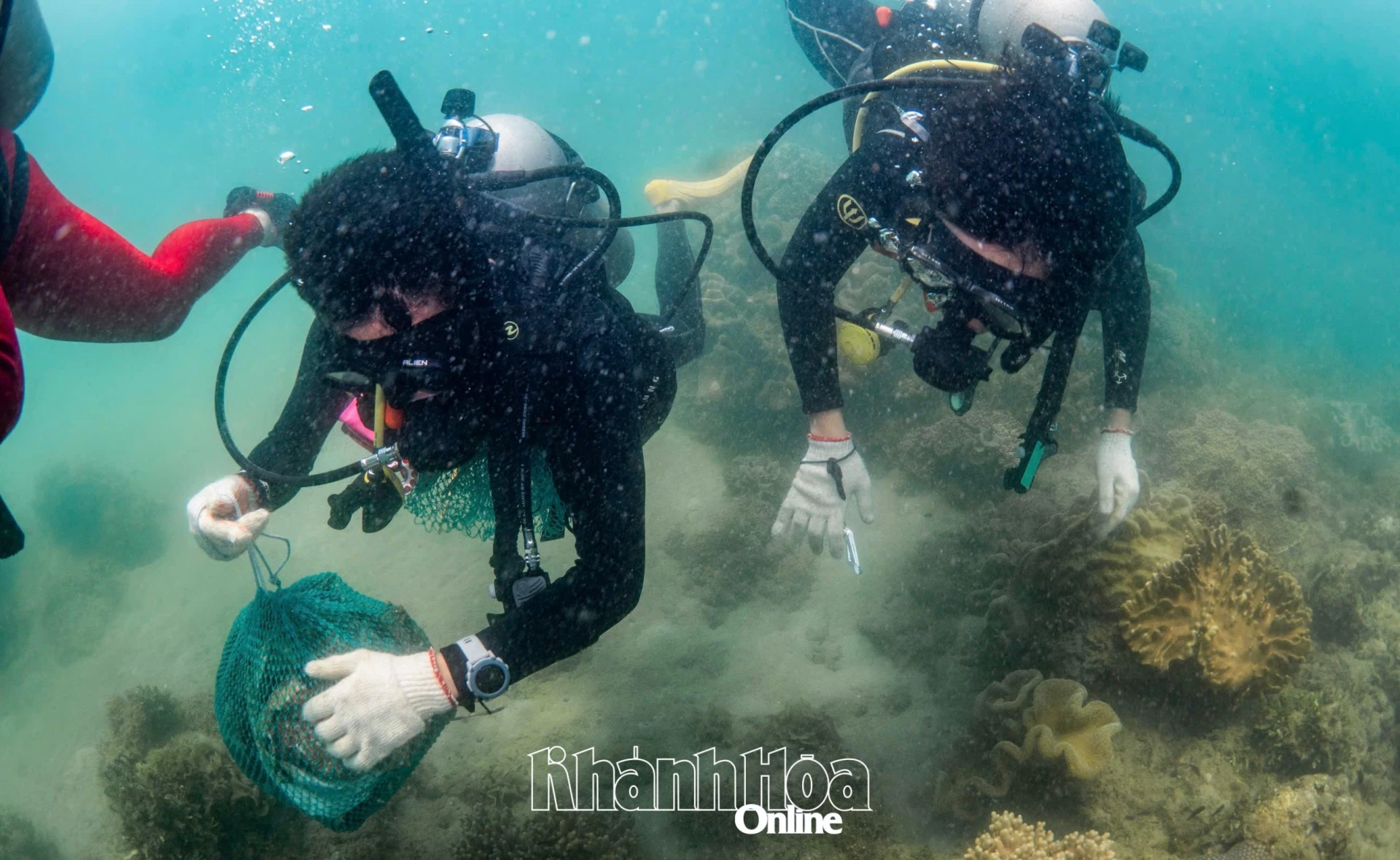 Hoạt động lặn biển nhặt rác ở vịnh Nha Trang. Ảnh: Câu lạc bộ&nbsp;lặn biển Viet Divers tại TP. Hồ Chí Minh cung cấp.
