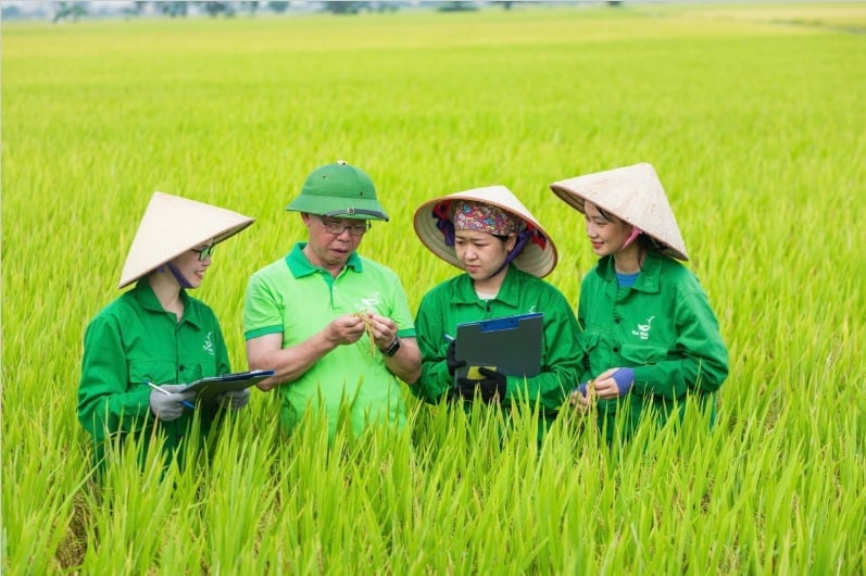 Từ tình cảm sâu nặng, biết ơn sự che chở, đùm bọc của nhân dân, sau này, mọi việc làm của tôi, nhất là trên lĩnh vực nông nghiệp, tôi đều hướng đến mục đích mang lại niềm vui, sự ấm no cho người dân.