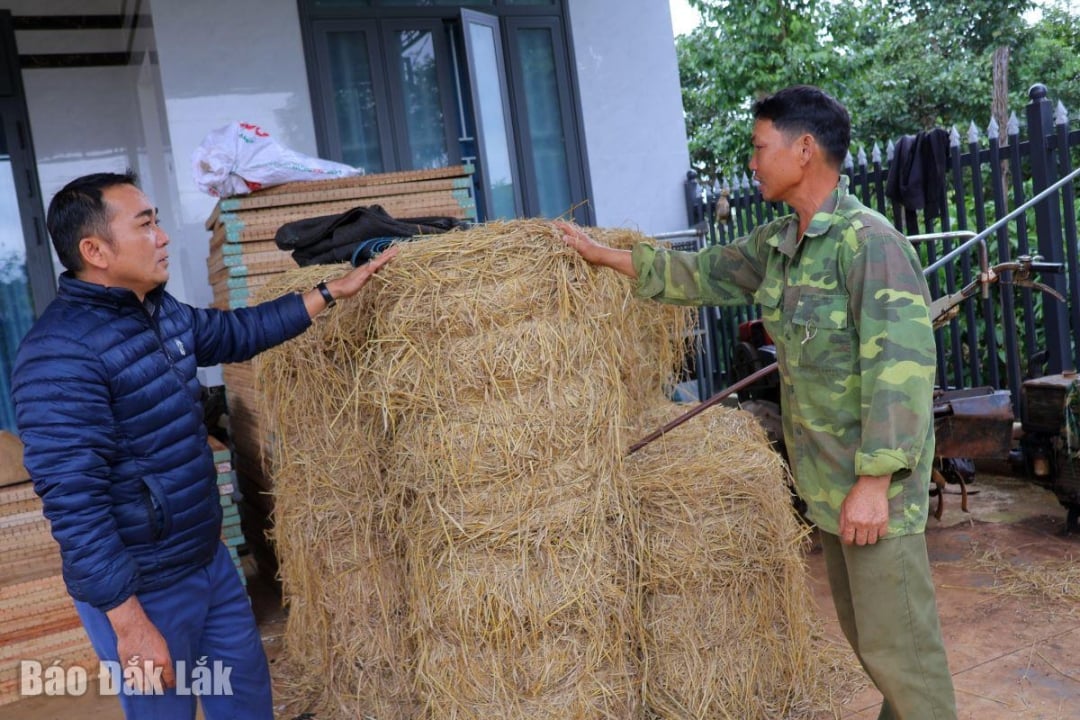 លោក លី បានឆ្លៀតឱកាសនោះ។