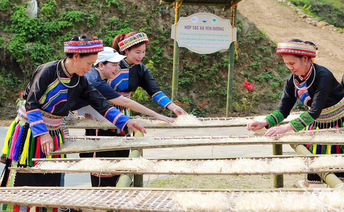 សហករណ៍យ៉េនឌឿងទើបតែទទួលបានពានរង្វាន់អាស៊ានសម្រាប់ការអភិវឌ្ឍជនបទ និងការកាត់បន្ថយភាពក្រីក្រ។ រូបថត៖ អ្នករួមចំណែក។