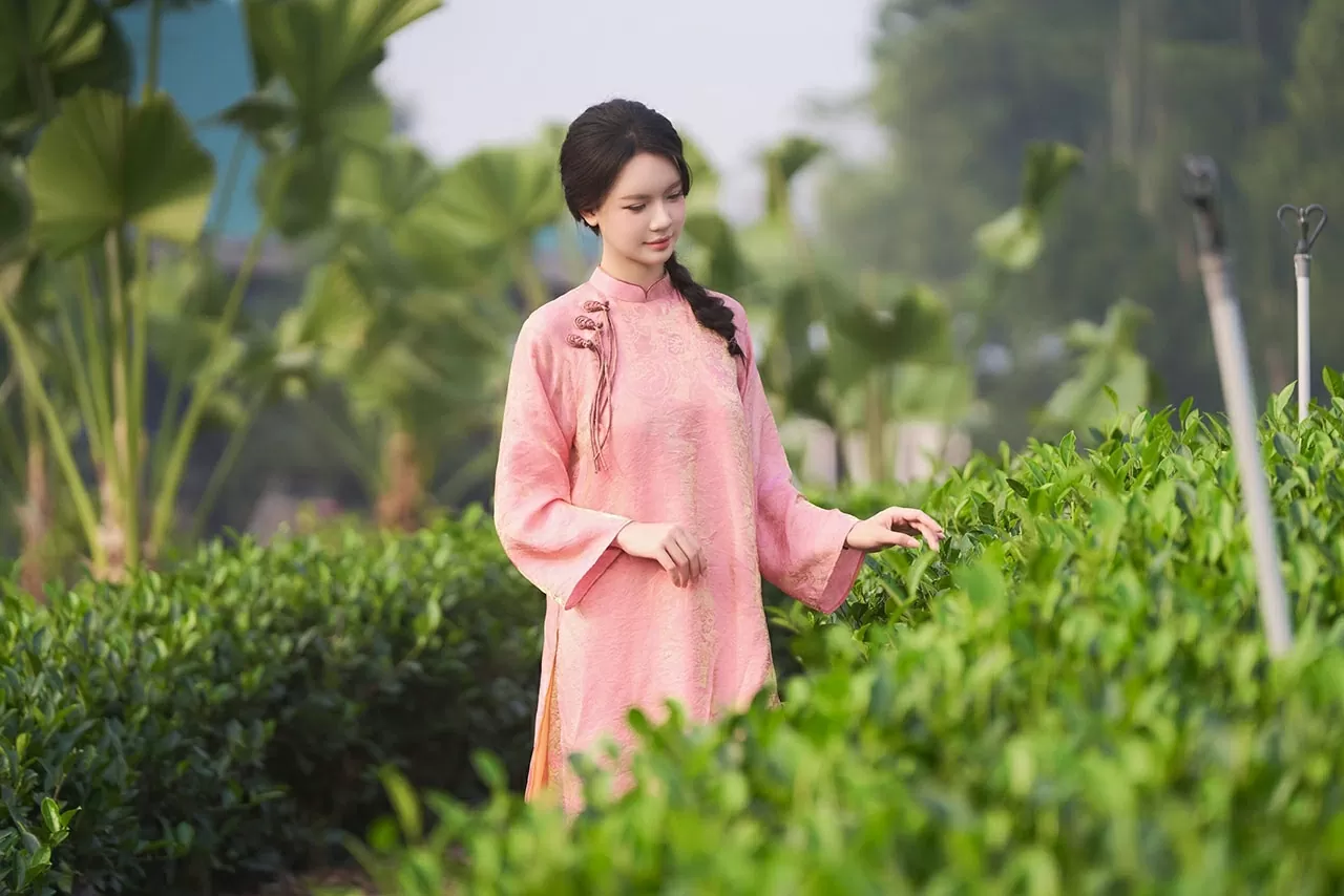 با خیال راحت در دامنه تپهها قدم میزد. Thong dong trên những triền đồi.
