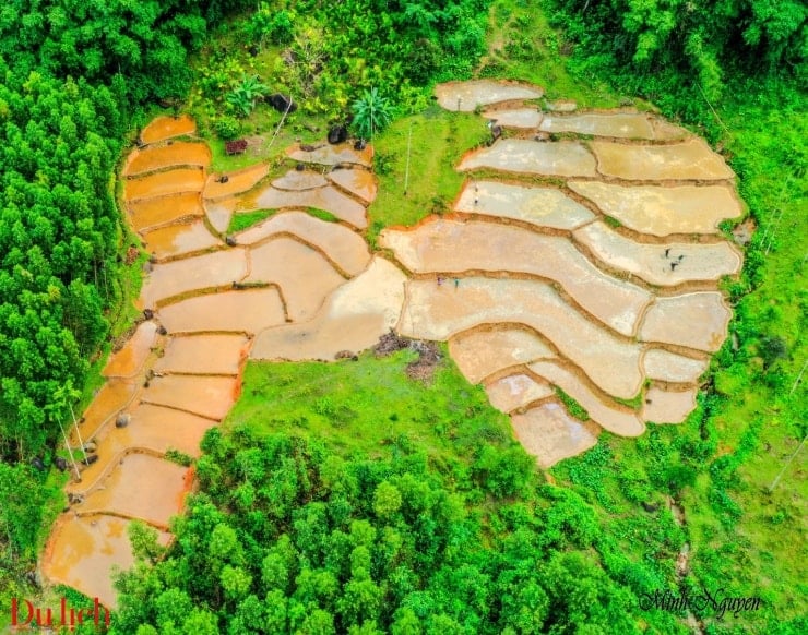 La bellezza incontaminata delle risaie a terrazze di Quang Ngai.