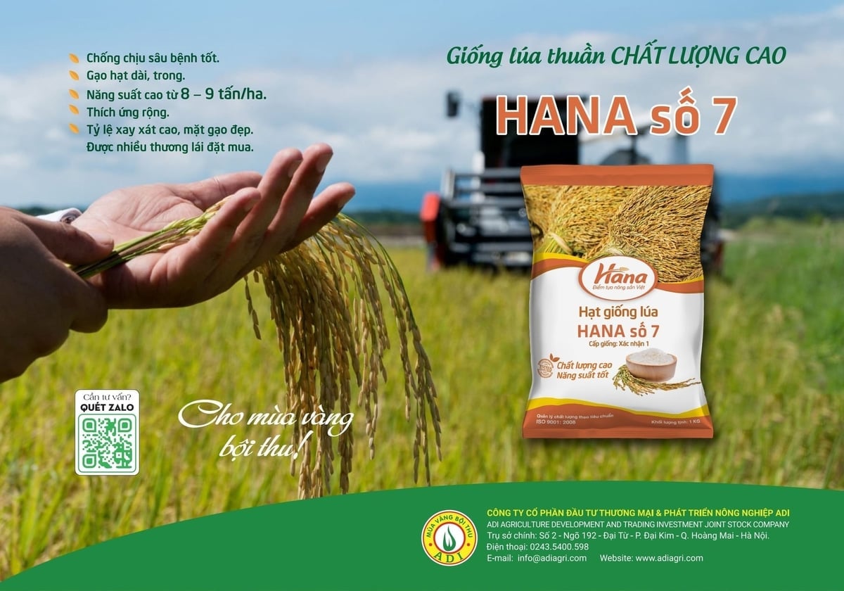 HANA số 7 sở hữu nhiều đặc tính vượt trội.