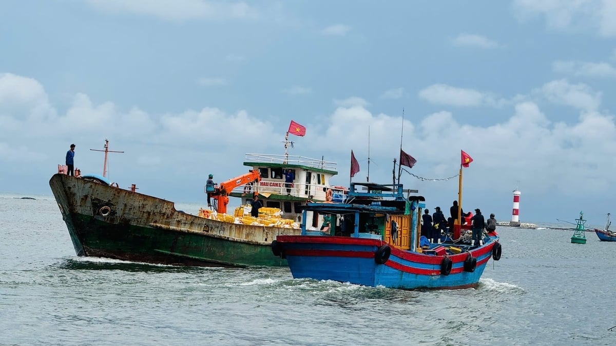  Quảng Ngãi đang triển khai nhiều biện pháp để ngăn chặn khai thác hải sản bất hợp pháp, không khai báo, không theo quy định. Ảnh: Võ Hà.