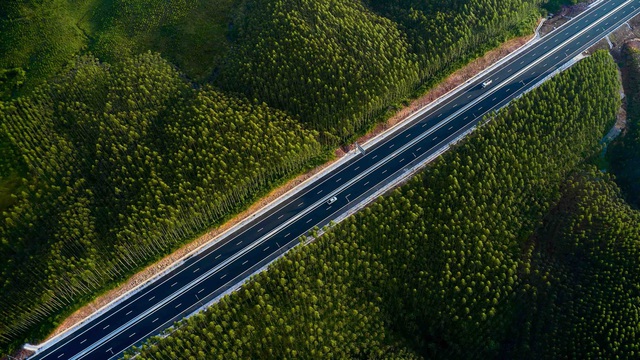 Våren kommer tidigt på över 3 000 km av nord-sydlig motorväg - Foto 2. Xuân về sớm trên 3.000 km cao tốc Bắc - Nam- Ảnh 2.