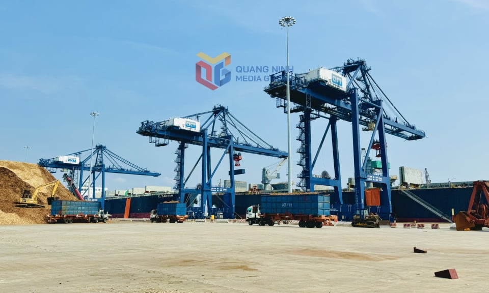 សកម្មភាពសេវាកម្ម និងភស្តុភារកម្មនៅកំពង់ផែកៃឡាន។ រូបថត៖ ម៉ាញទ្រឿង