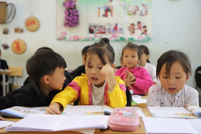 Sáp nhập trường công lẫn tư nếu không đạt chuẩn - Ảnh 1.