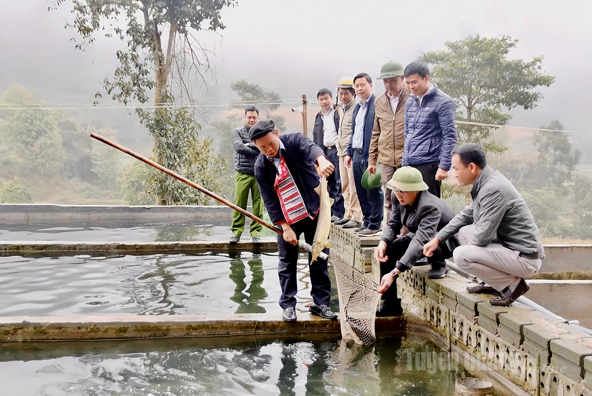 M. Trieu Chan Loang (l'homme qui tient le poisson) a été le premier à Nam An à élever des poissons d'eau froide, ce qui a permis d'obtenir une grande rentabilité.