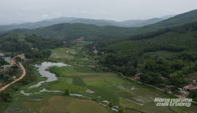 Hutan menyediakan mata pencarian yang mampan untuk ramai orang di wilayah Thanh Hoa. Foto: Quoc Toan. Rừng mang lại sinh kế bền vững cho nhiều người dân Thanh Hóa. Ảnh: Quốc Toản.