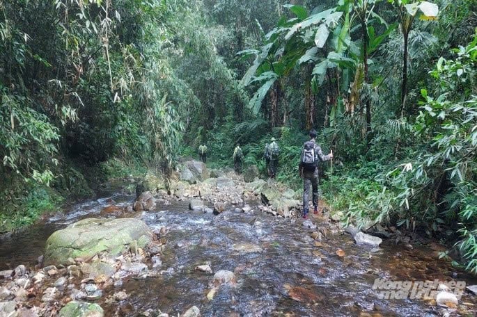 Renjer hutan bekerjasama dengan penduduk tempatan untuk meronda dan melindungi hutan. Foto: Quoc Toan. Cán bộ kiểm lâm phối hợp cùng người dân tuần tra bảo vệ rừng. Ảnh: Quốc Toản.