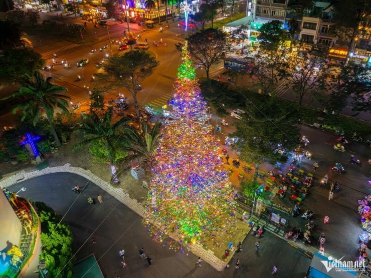 Un brad de Crăciun înalt de 25 de metri la Biserica Sf. Paul.