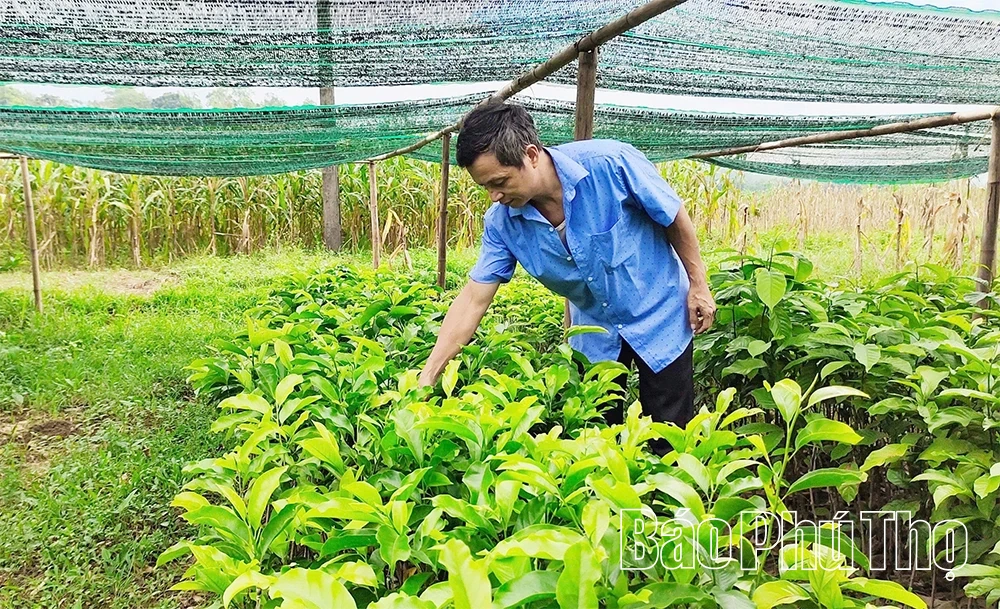 ความก้าวหน้าครั้งสำคัญในการปรับโครงสร้างภาคเกษตรกรรม