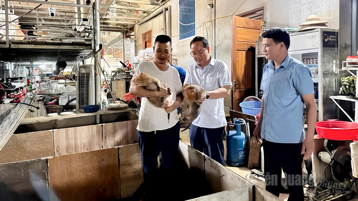 Tan An commune is diversifying livelihood models to help reduce poverty sustainably.