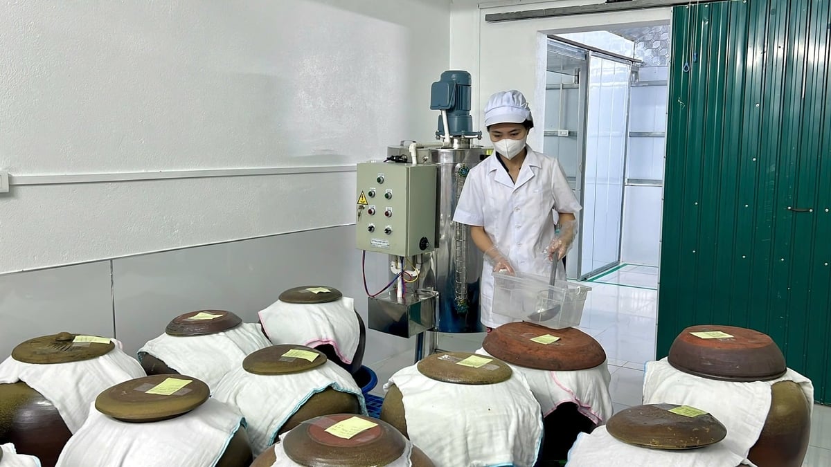 Miód jest fermentowany z ziołami. Zdjęcie: Thanh Tam.