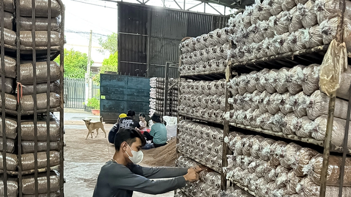 La normalisation des procédures vise à éviter toute atteinte aux droits de propriété et à garantir que les produits locaux continuent d'utiliser légalement les marques déposées dans leur production et leurs activités commerciales.