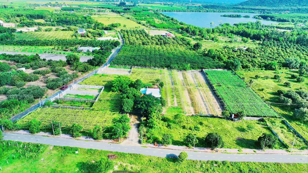 Tanah pertanian di komune Phuoc Hai, Bandar Ho Chi Minh. Foto: QUANG VU