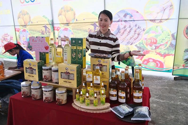 Promoción del comercio digital