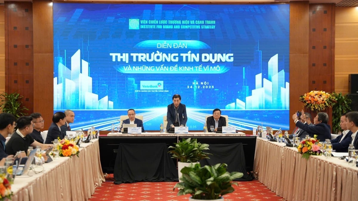 Diễn đàn 'Thị trường Tín dụng và những vấn đề kinh tế vĩ mô' do Viện Chiến lược Thương hiệu và Cạnh tranh tổ chức ngày 24/12. Ảnh: Trung Nguyên.