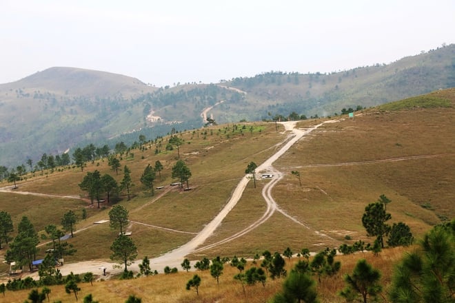 Graslandschaften, die einem Miniatur-Europa in Quang Ninh ähneln - Foto 6.