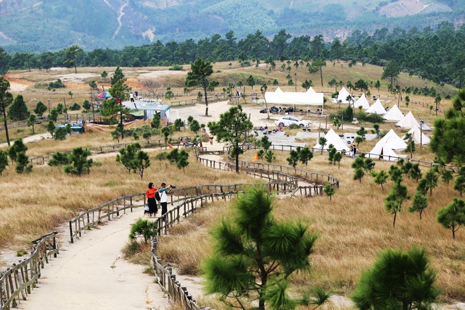 Graslandschaften, die einem Miniatur-Europa in Quang Ninh ähneln - Foto 7.