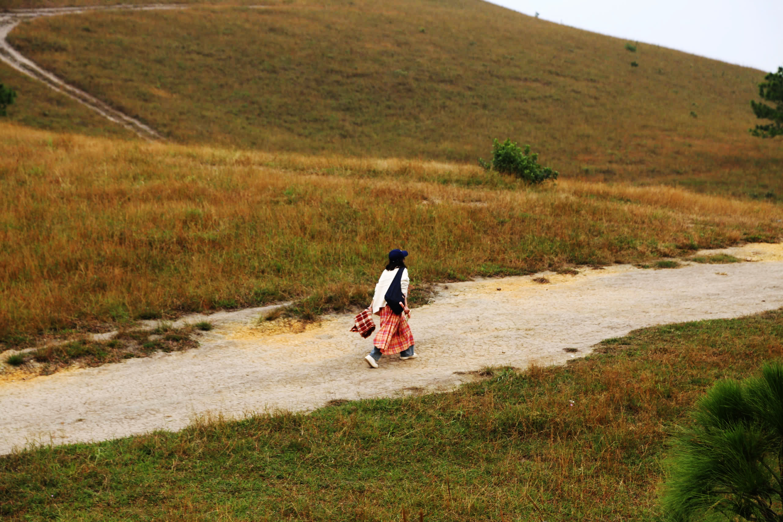 Prairies ressemblant à une Europe miniature à Quang Ninh - Photo 8.