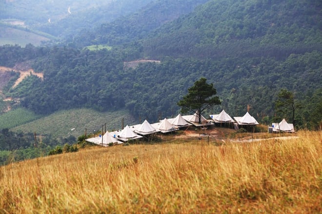Grasland, das an ein Miniatur-Europa in Quang Ninh erinnert - Foto 10.