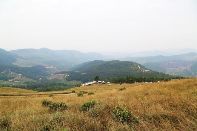 Grasland, das an ein Miniatur-Europa in Quang Ninh erinnert - Foto 11.