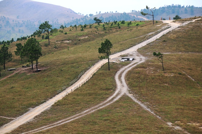 Grasland, das an ein Miniatur-Europa in Quang Ninh erinnert - Foto 12.