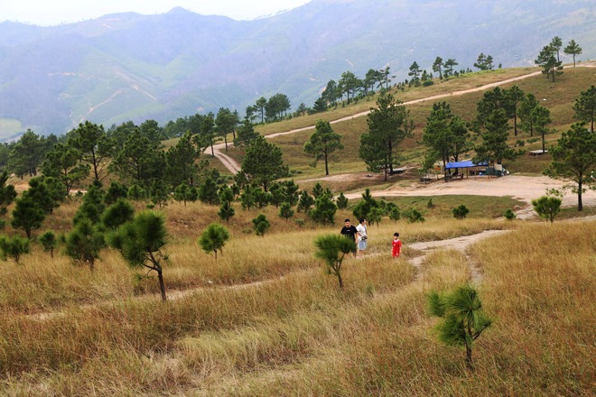 Grasland, das an ein Miniatur-Europa in Quang Ninh erinnert - Foto 13.