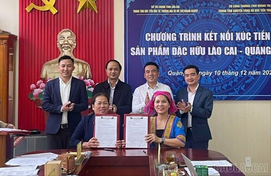baolaocai-br_z7362880446303-8d598eddca5fa6916f595b20bf69015d-981.jpg