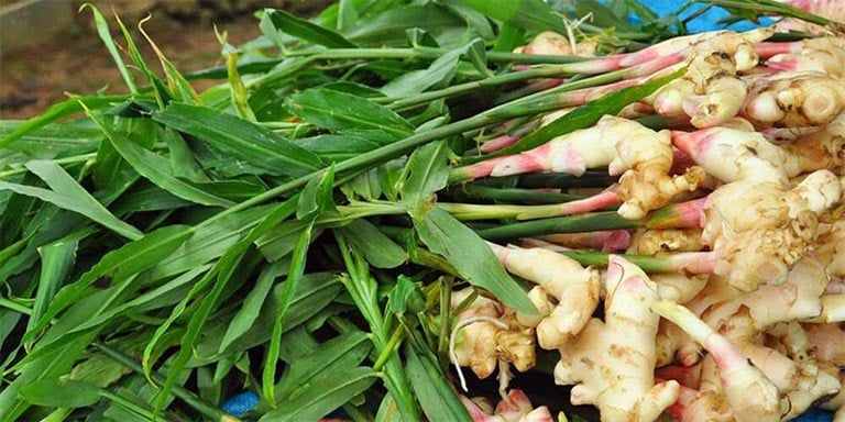 Công thức gừng tươi giúp làm ấm và ngủ ngon- Ảnh 1.