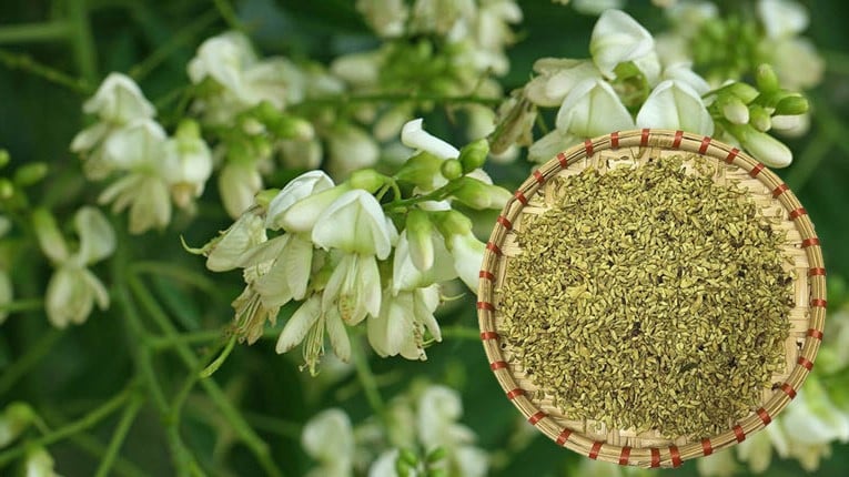 Bài thuốc từ hoa hòe chữa bệnh trĩ chảy máu- Ảnh 1.