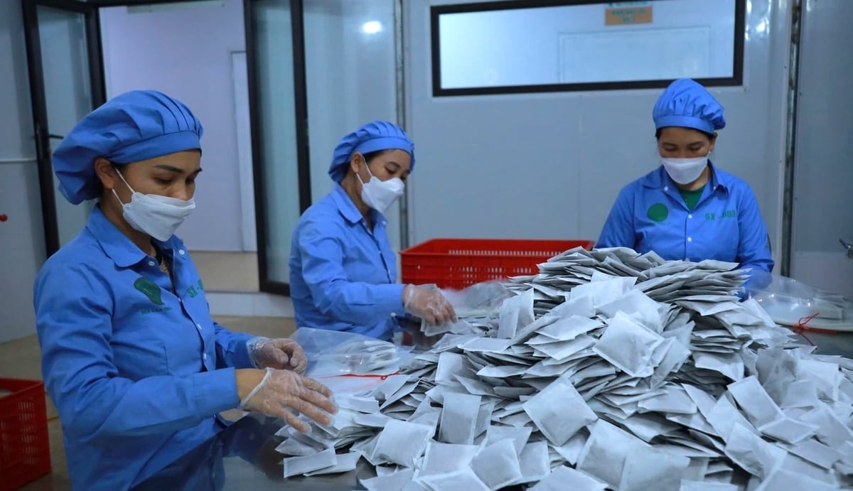 Chất lượng sản phẩm dược liệu của Nghệ An ngày càng được nâng lên. Ảnh: Việt Khánh.  