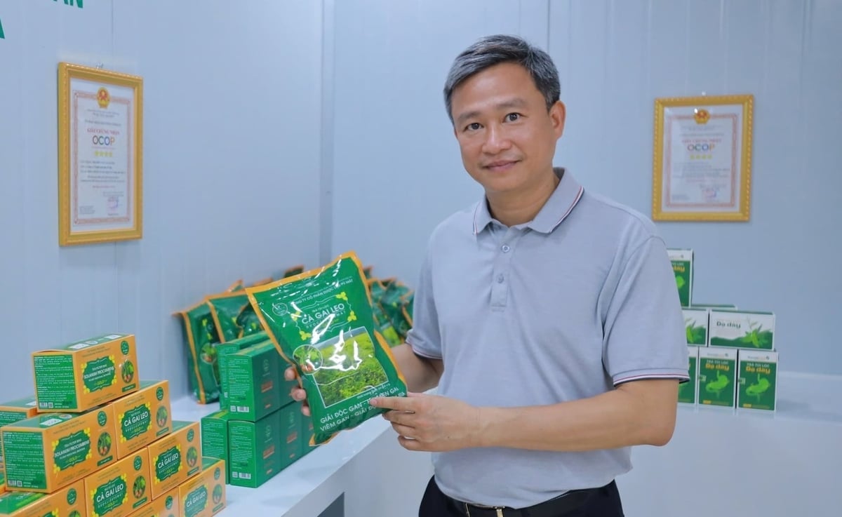 Dược liệu Pù Mát nằm trong số các đơn vị gặt hái được nhiều kết quả tích cực. Ảnh: Việt Khánh.
