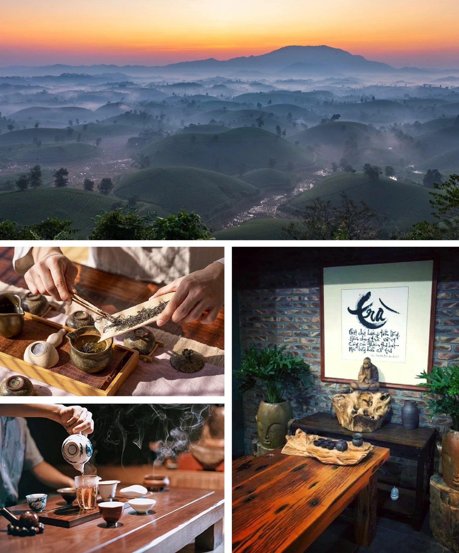 [Magazine électronique] : Le parfum enchanteur des fleurs de thé en saison brumeuse